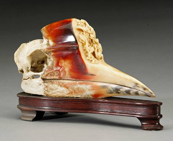 A carved hornbill casque Carved to the front above the