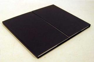 Andres Marroquin Winkelmann CONDITIONS 2010 Limited Edition With Artist Title