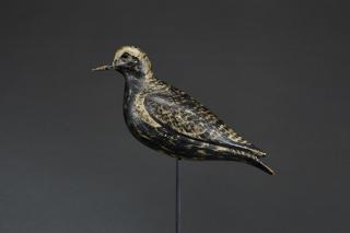 The McCleery Bunn Bowman Golden Plover The McCleery Bunn Bowman