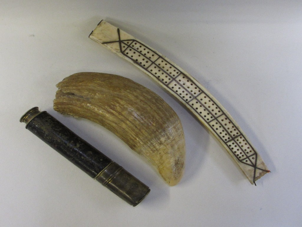 Whales tooth tusk cribbage board and a small telescope