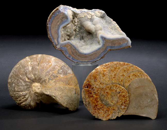 Interesting Agate and Limestone Geode Specimen the limestone exterior artistically