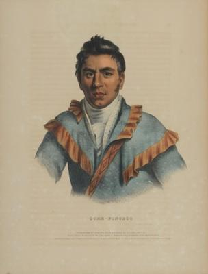Charles Bird King American 1785 1862 Oche Finceco Lithograph with