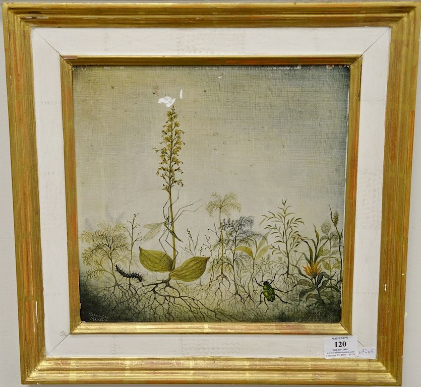 Florence Martin 19th 20th century oil on masonite Botanical and