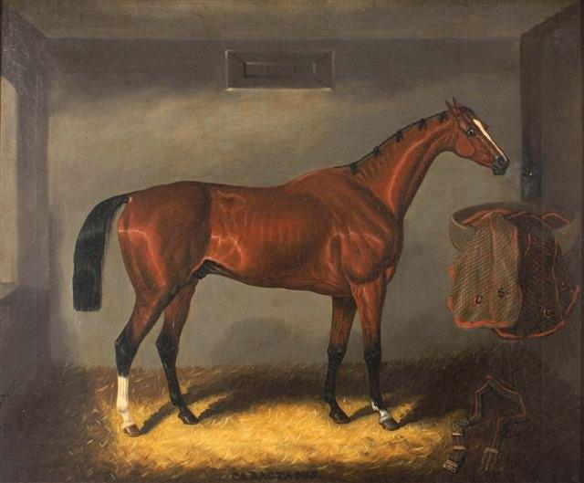 SAMUEL SPODE Act 1825 1858 Portrait of the racehorse Caractacus