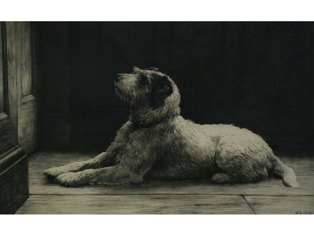 HERBERT DICKSEE 1862 1942 ETCHING Recumbent dog 1919 published by