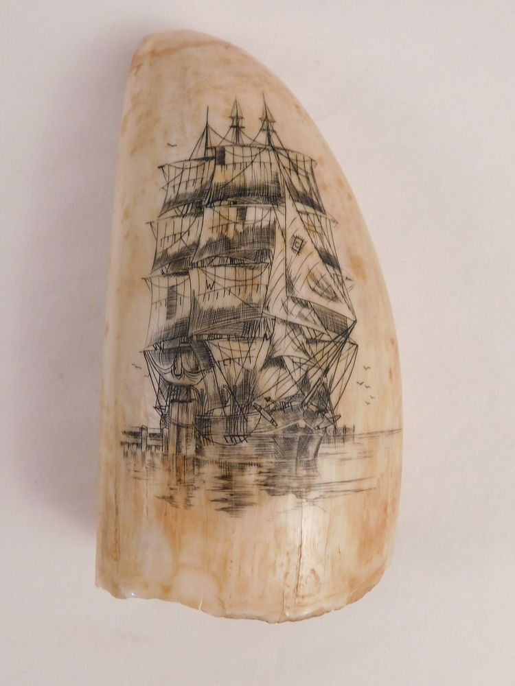 WHALE TOOTH SHIP SCRIMSHAW Whale tooth with scrimshaw scene of
