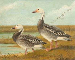 Edgar Burke 1889 Blue Geese 1948signed Edgar Burke lower rightoil