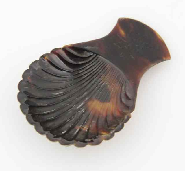 An early 19th Century tortoiseshell caddy spoon of scallop shell
