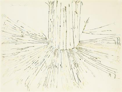 NANCY GRAVES american 1940 1995 QUIPU 1974 pencil signed dated
