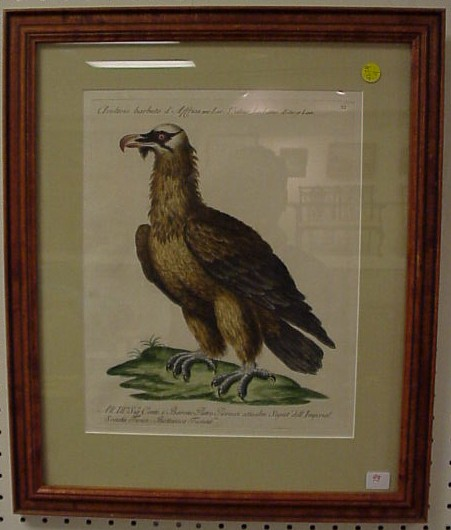 17th C Italian hand colored engraving on laid paper of