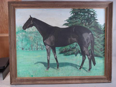 American 20th c Portrait of a Horse 20 x 26