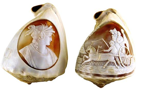 Pair of conch shells with cameo relief carvings one depicting