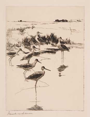 FRANK W BENSON Yellowlegs No 3 Drypoint 1923 200x150 mm