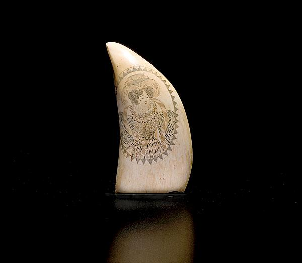 SCRIMSHAWED WHALE S TOOTH WITH TUDOR LADY PORTRAIT American ca
