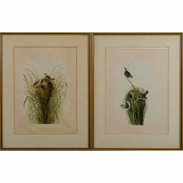 Pair of Bien Edition Audubon Chromolithographs Both Bien Edition chromothithographs