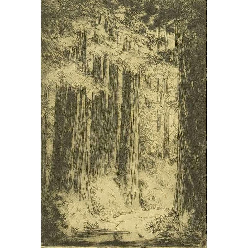 Evangeline Benbow Etching Framed etching Redwoods Evangeline Benbow 1891 1940