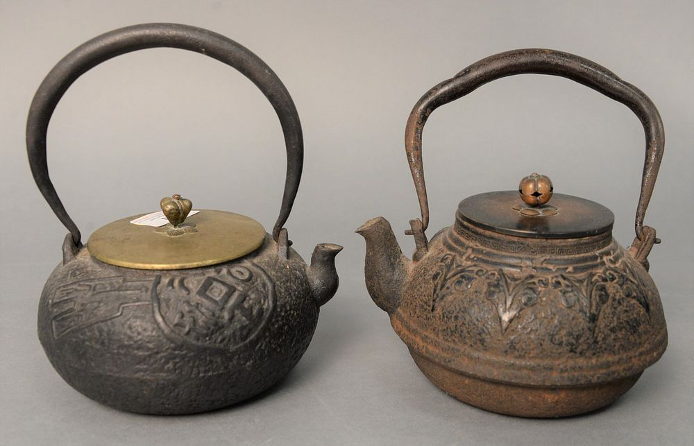 Two early Japanese iron and bronze teapots one with Asian