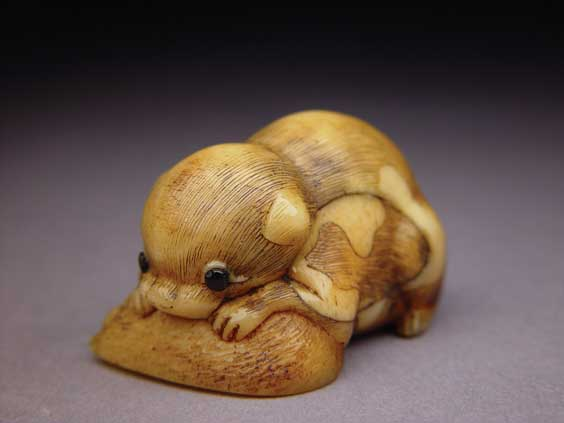 ANTIQUE STAG ANTLER NETSUKE Charming and well carved antique stag