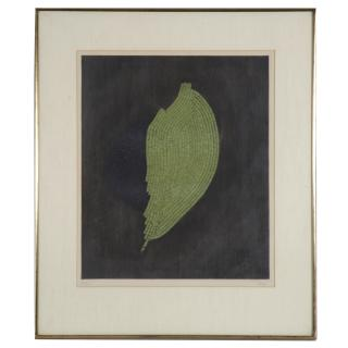 Arthur Luiz Piza color etching Arthur Luiz Piza color etching