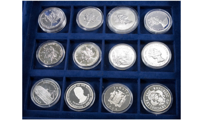 Collection of 13 One Ounce Silver Coins 5 x Canadian