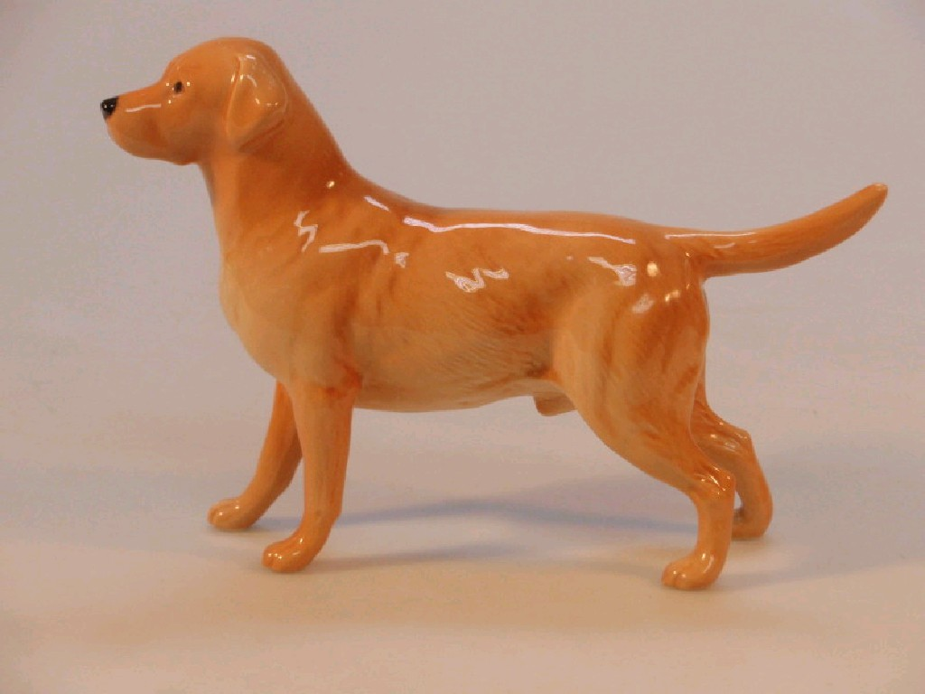 A Beswick model of a yellow Labrador