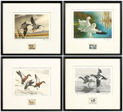 Four Federal duck stamp prints White Winged Scoters 517 750