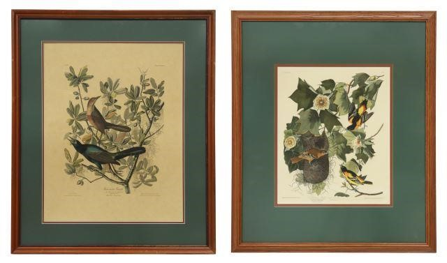 lot of 2 Framed prints on paper after John James
