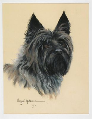 Margaret Anderson A R M S 1926 1998 Cairn terrier