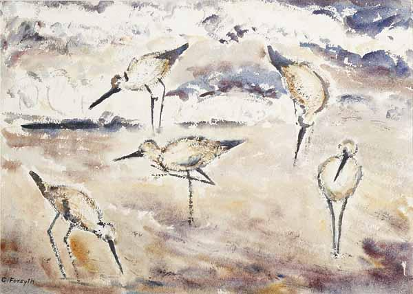 Constance Forsyth American Texas 1903 1987 The Birds Texas Gulf
