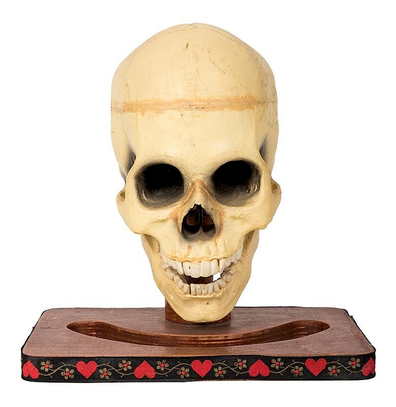 Talking Skull Talking Skull Colon Abbott s Magic Mfg ca