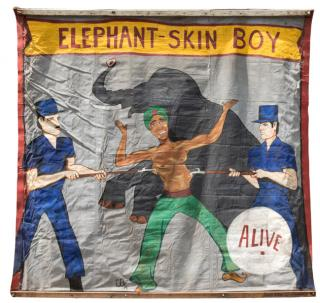 Elephant Skin Boy Alive American third or fourth quarter twentieth