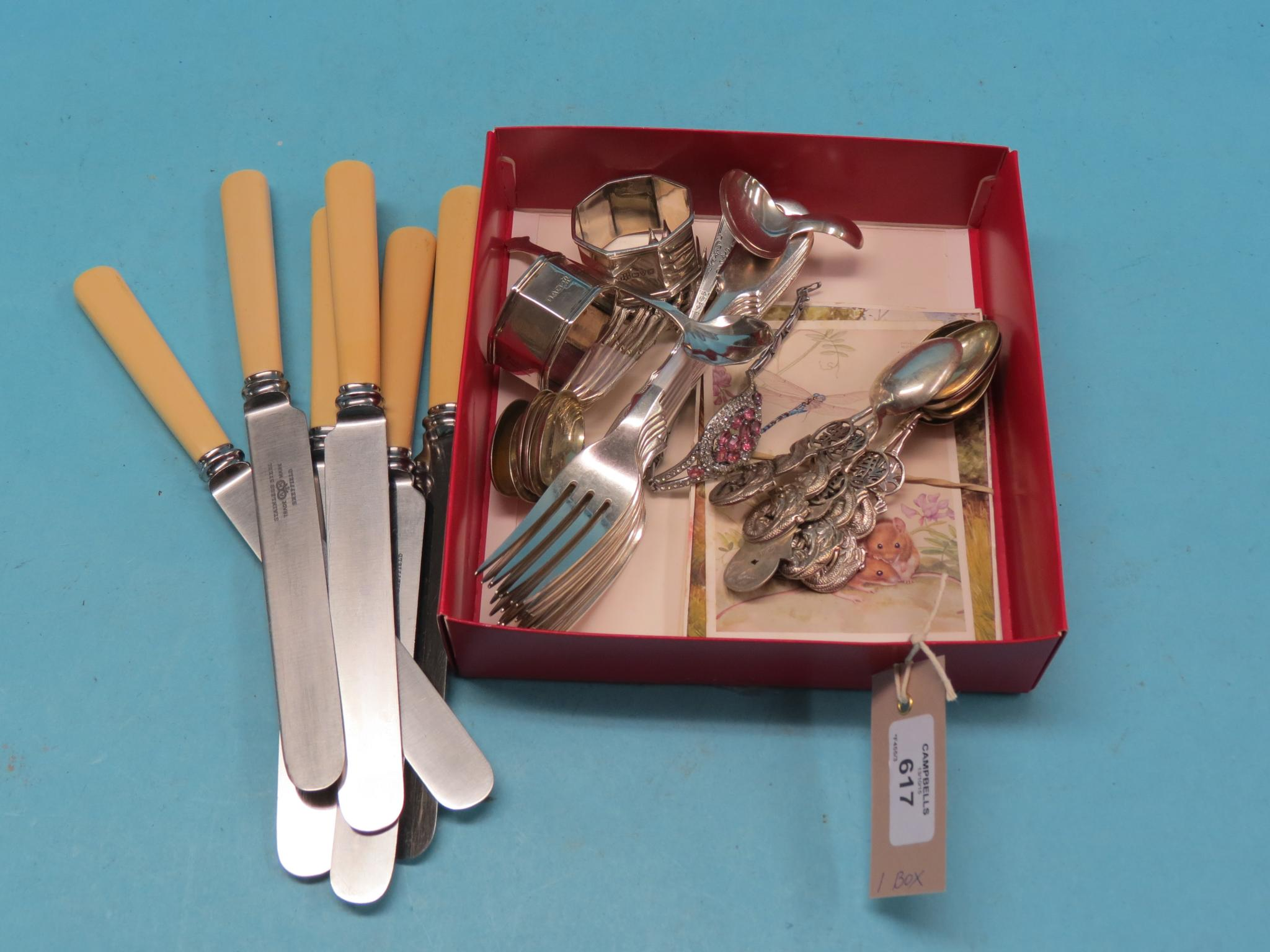 Silver and other flatware silver caddy spoon silver jam spoon