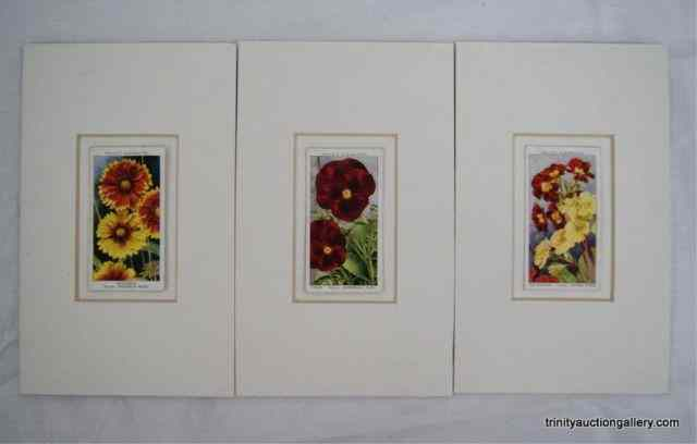 3 Antique 1933 Wills s Cigarette Tobacco CardsProduced in 1933