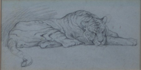 HERBERT T DICKSEE BRITISH 1862 1942 TIGER Pencil on blue