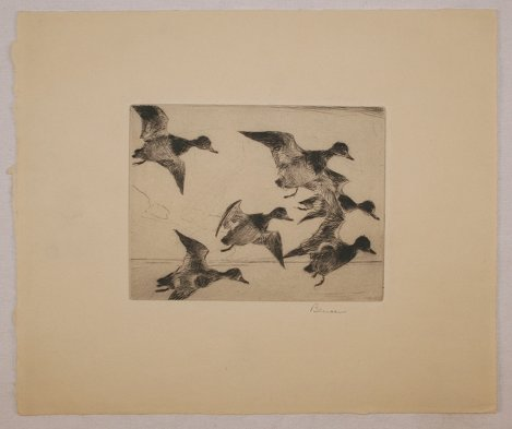 BENSON Frank American 1862 1951 Bunch of Bluebills Etching 7