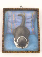 Miniature of a Cat Joyce Kilburn d 1972 Royal Society