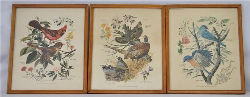 3 ARTHUR SINGER BIRD LITHOGRAPHS Three Framed Vintage Lithographic Prints