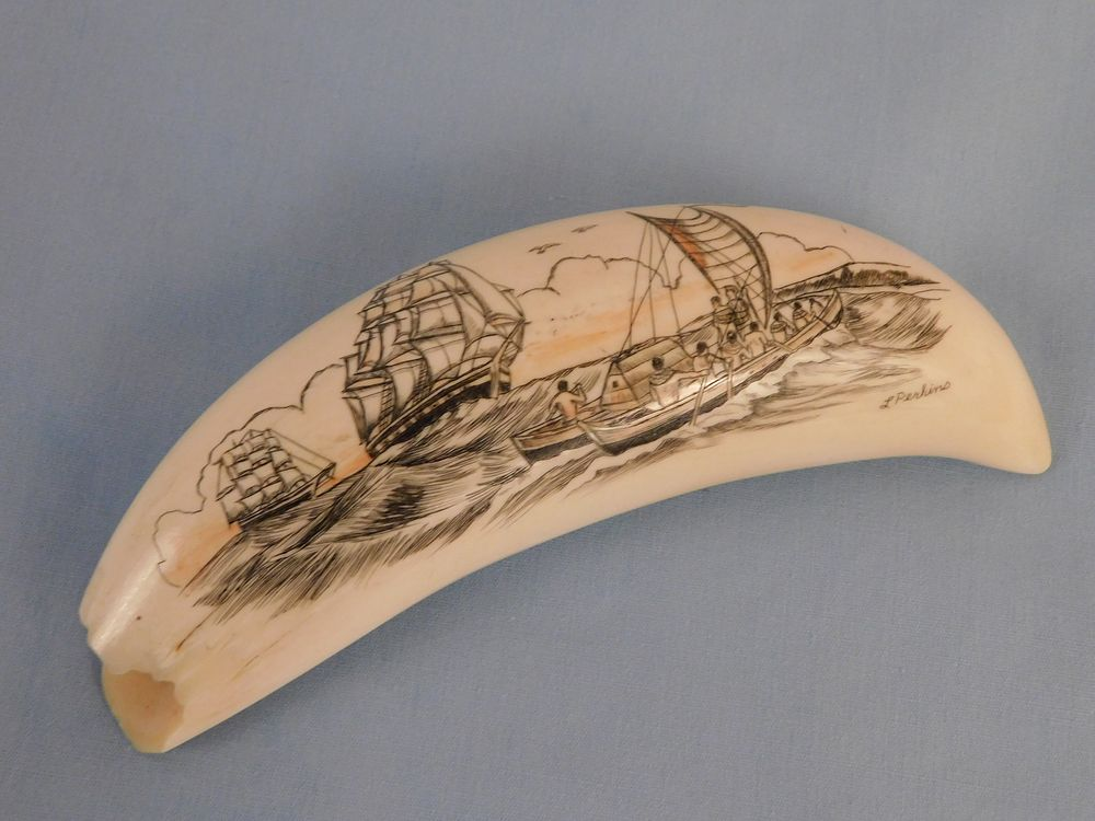 WHALE TOOTH SIGNED PERKINS Small scrimshaw whale tooth with colored