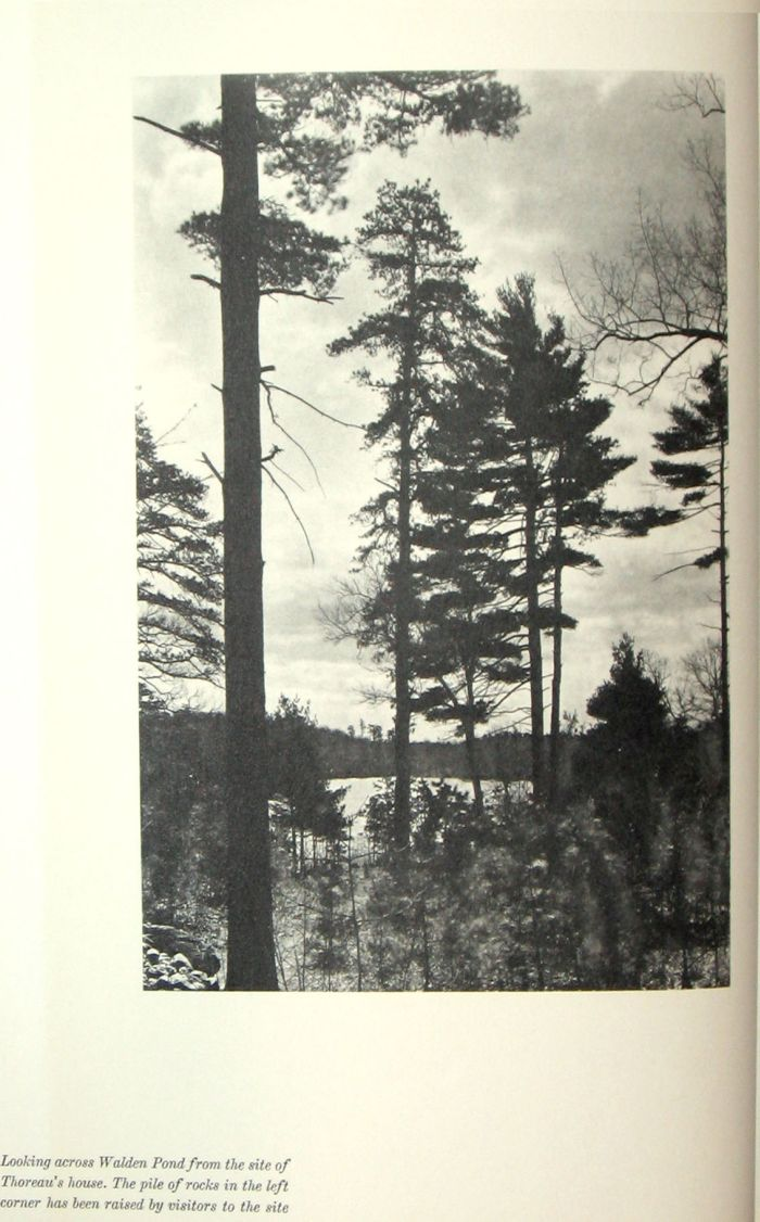 1 vol Limited Editions Club of New York Thoreau Henry