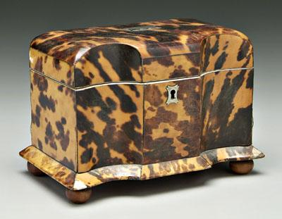Tortoise tea caddy fluted front panels above compressed ball feet