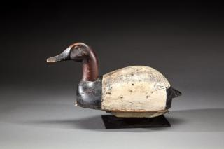 Canvasback Drake by Scott Peters 1883 Canvasback DrakeScott Peters 1883