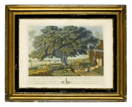 1 piece Hand Colored Aquatint Lehman George The Great Tree