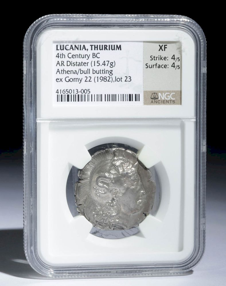 Greek Lucanian Silver Distater Coin 15 47 g Greece Lucania