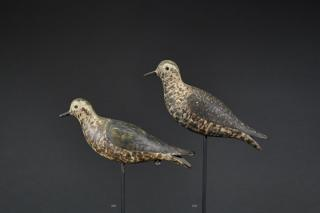A G Fox Rig Plover A G Fox Rig PloverMassachusetts