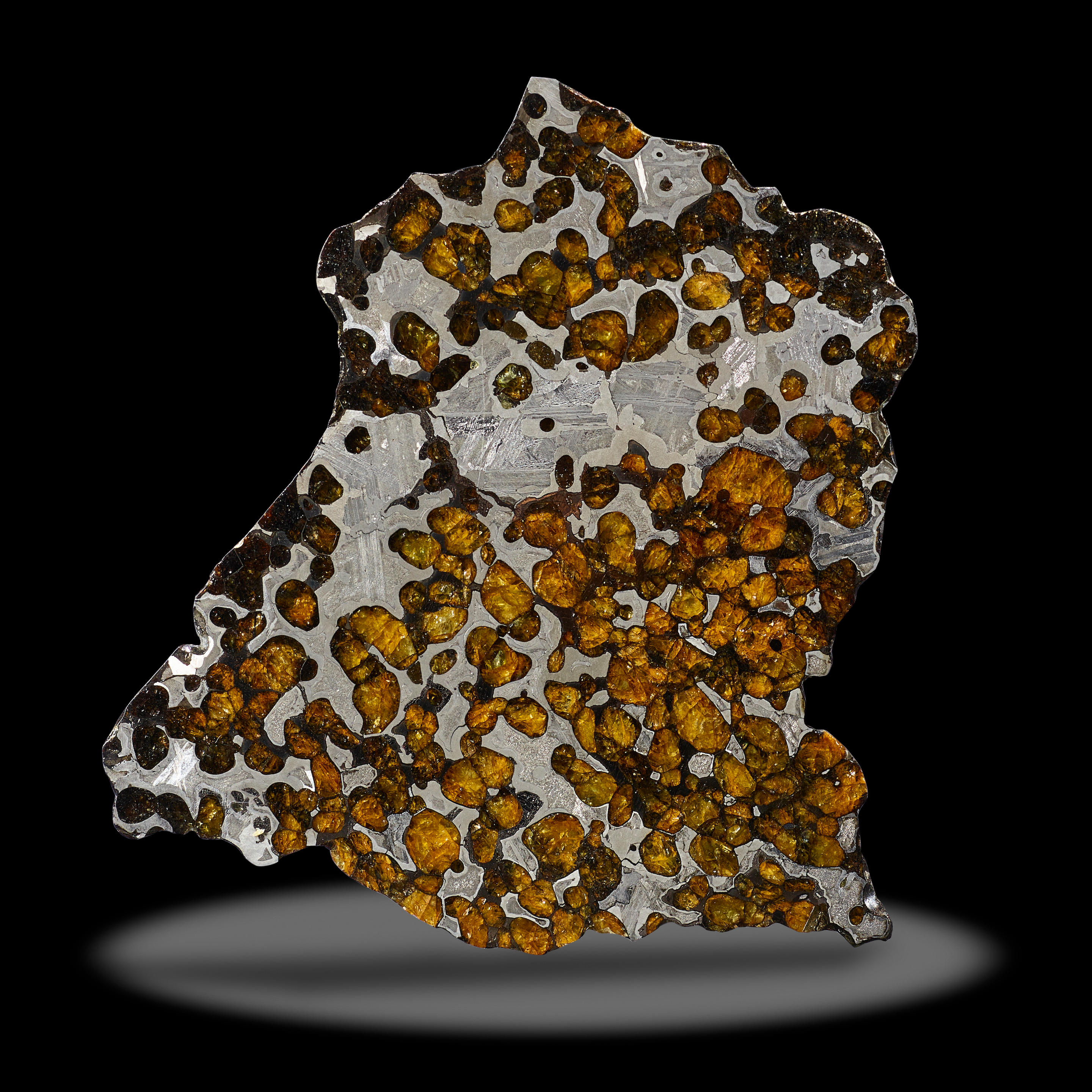 BRENHAM PALLASITIC METEORITE COMPLETE SLICE Stony iron PAL Kiowa County