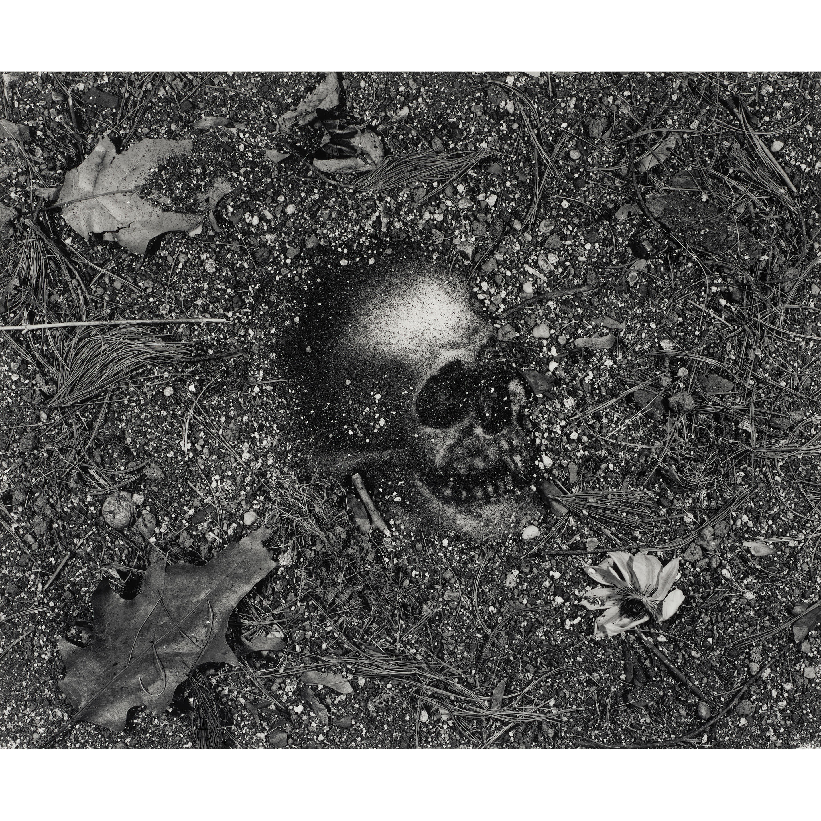VIK MUNIZ BORN 1961 Vanitas Pictures of Soil 1998 Gelatin