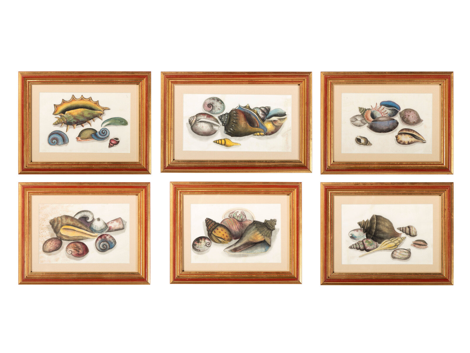 American School 20th Century Six Works Still Lifes with Shells