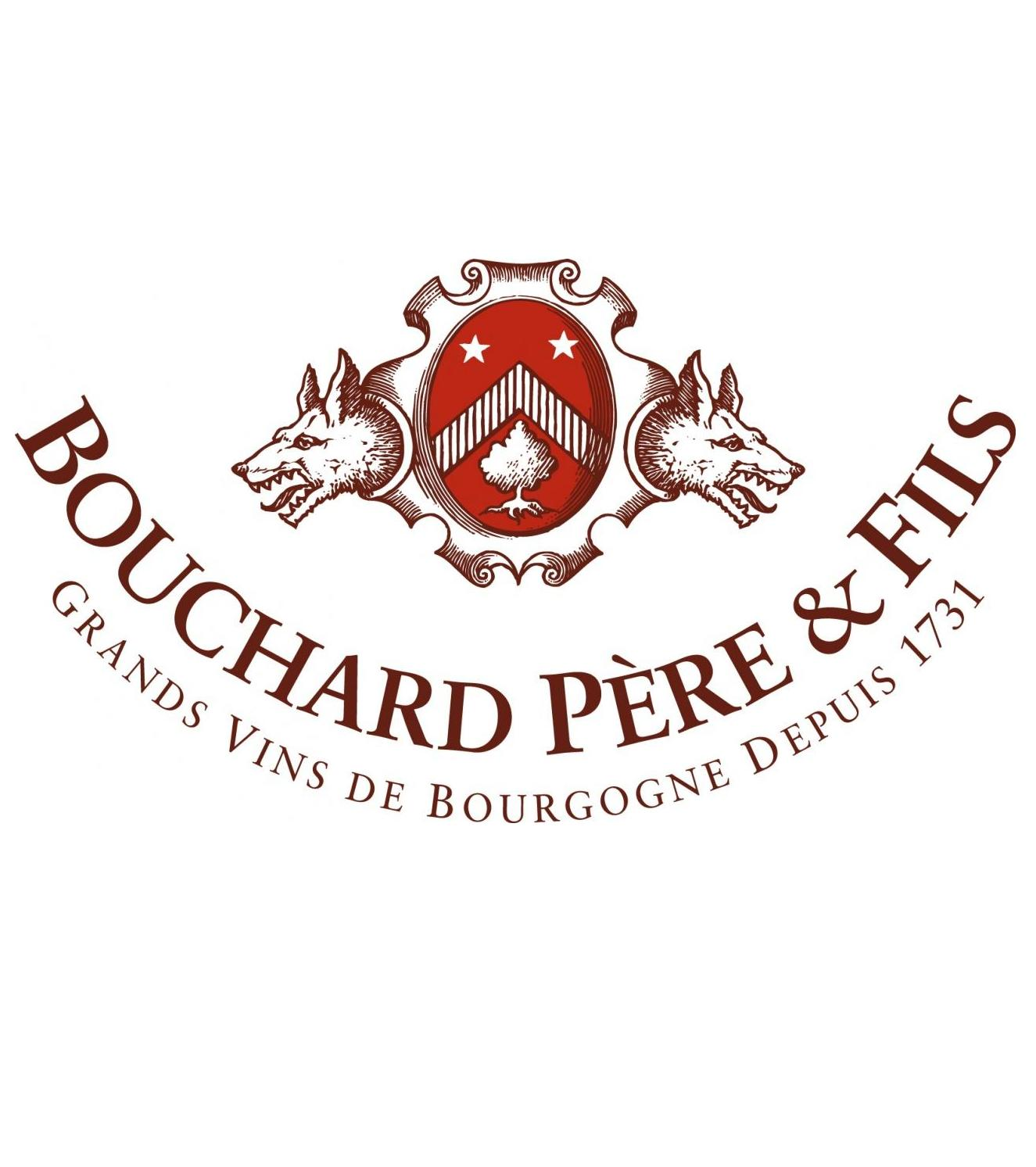 BONNES MARES 2020 BOUCHARD P RE FILS 6 Bonnes Mares