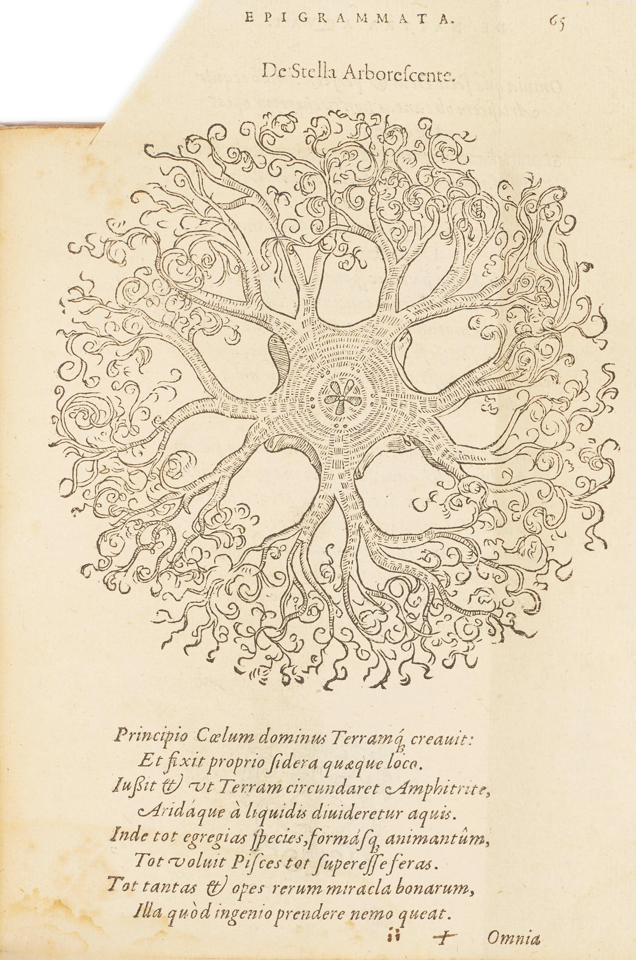 BOUSSUET FRANCOIS 1520 1572 De natura aquatilium carmen in universam