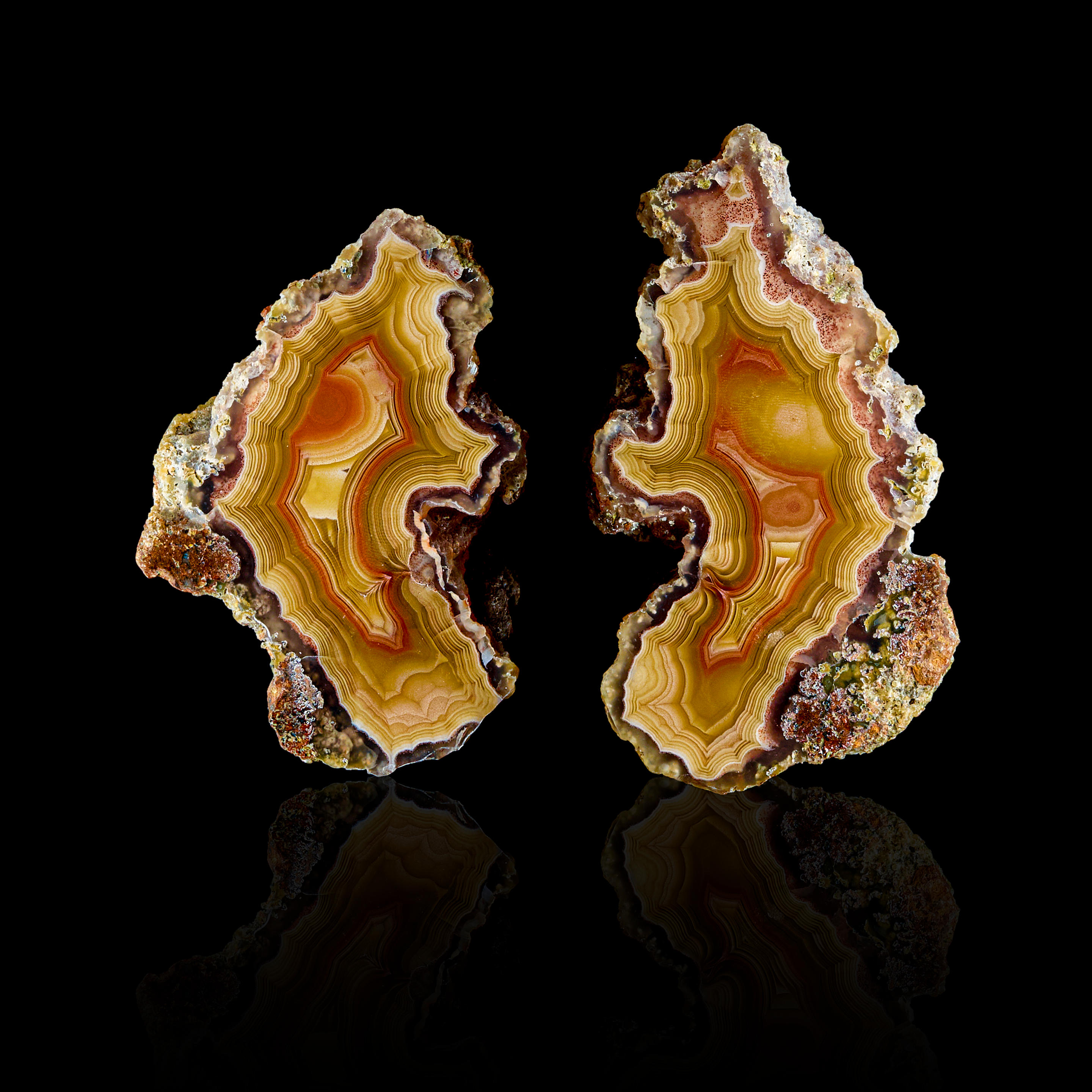 LAGUNA AGATE SPLIT Estacion Ojo Laguna Ahumada Municipality Chihuahua Mexico